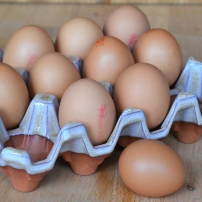Egg Rack 12 4