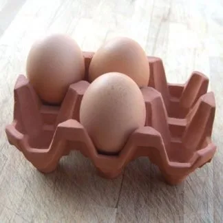 Egg Rack (6)