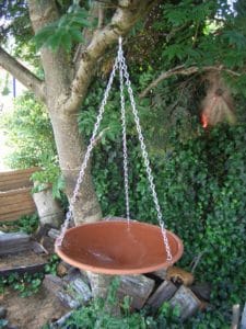 Terracotta bird bath Australia