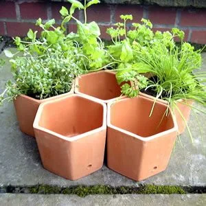 Hexagonal Herb Pots - Set of 7