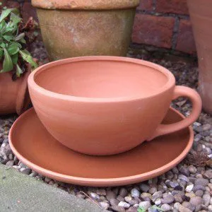 Teacup & Saucer Planter