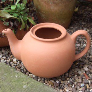 Teapot Planter 1