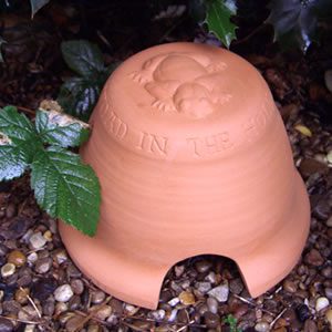 Terracotta Toad Abode House AU