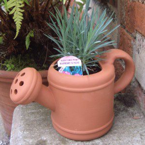 Watering Can Planter 1