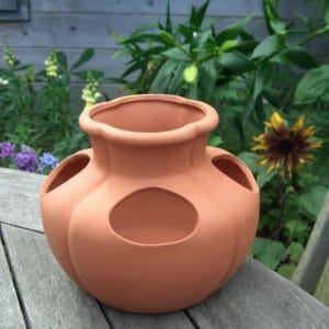 Strawberry Herb Pot