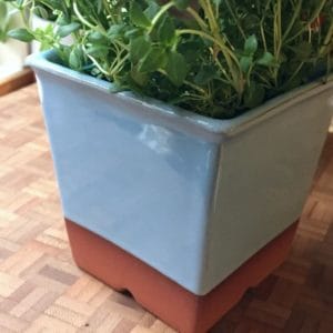 terracotta windowsill herb pot pale blue