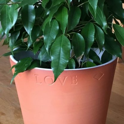 Terracotta Love Pot